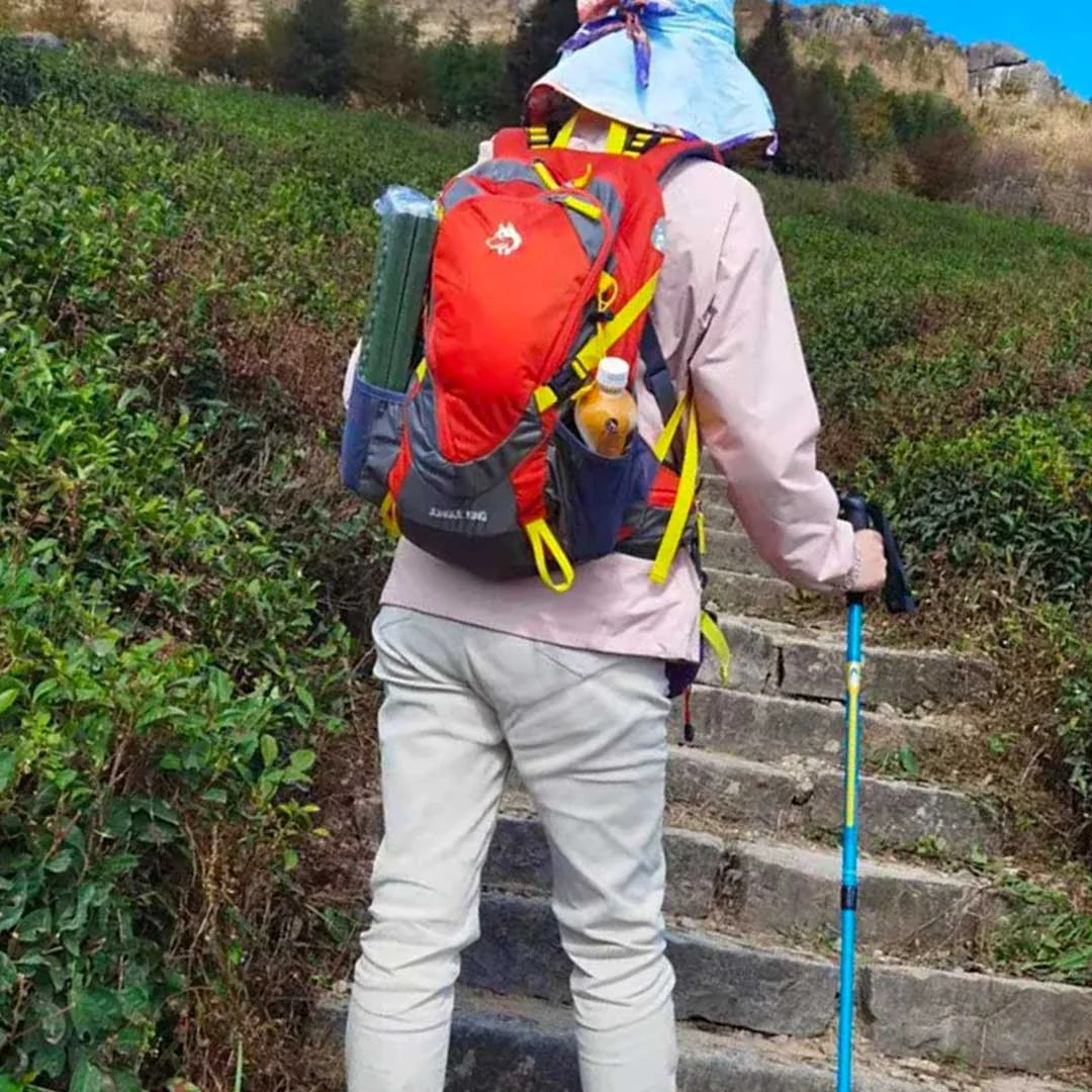 Tear Resistant Backpack