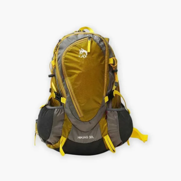 Tear Resistant Backpack