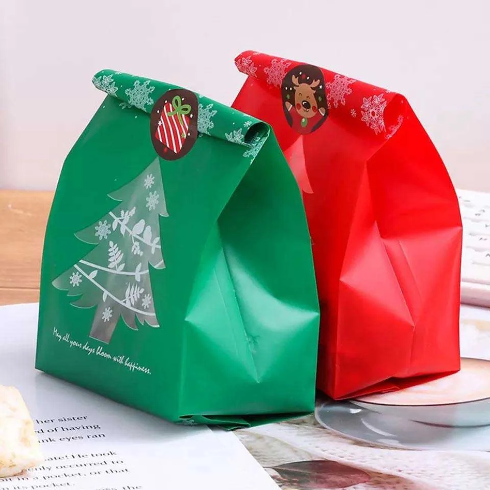 Christmas Gift Paper Bag