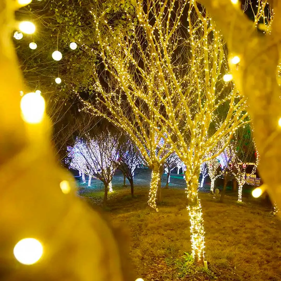 Led Twinkle Fairy Light String