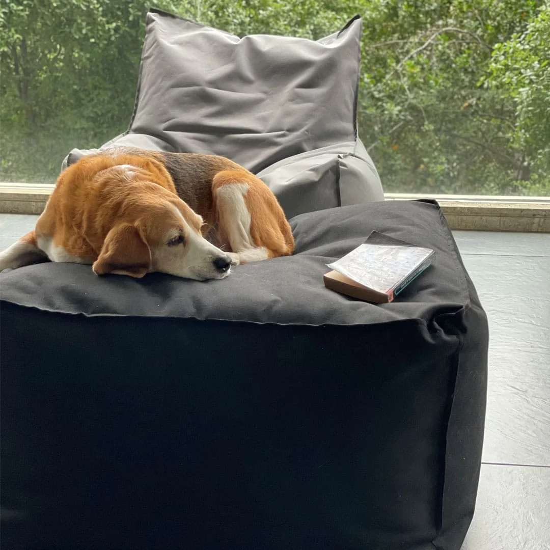 HASSOCK Beanbag