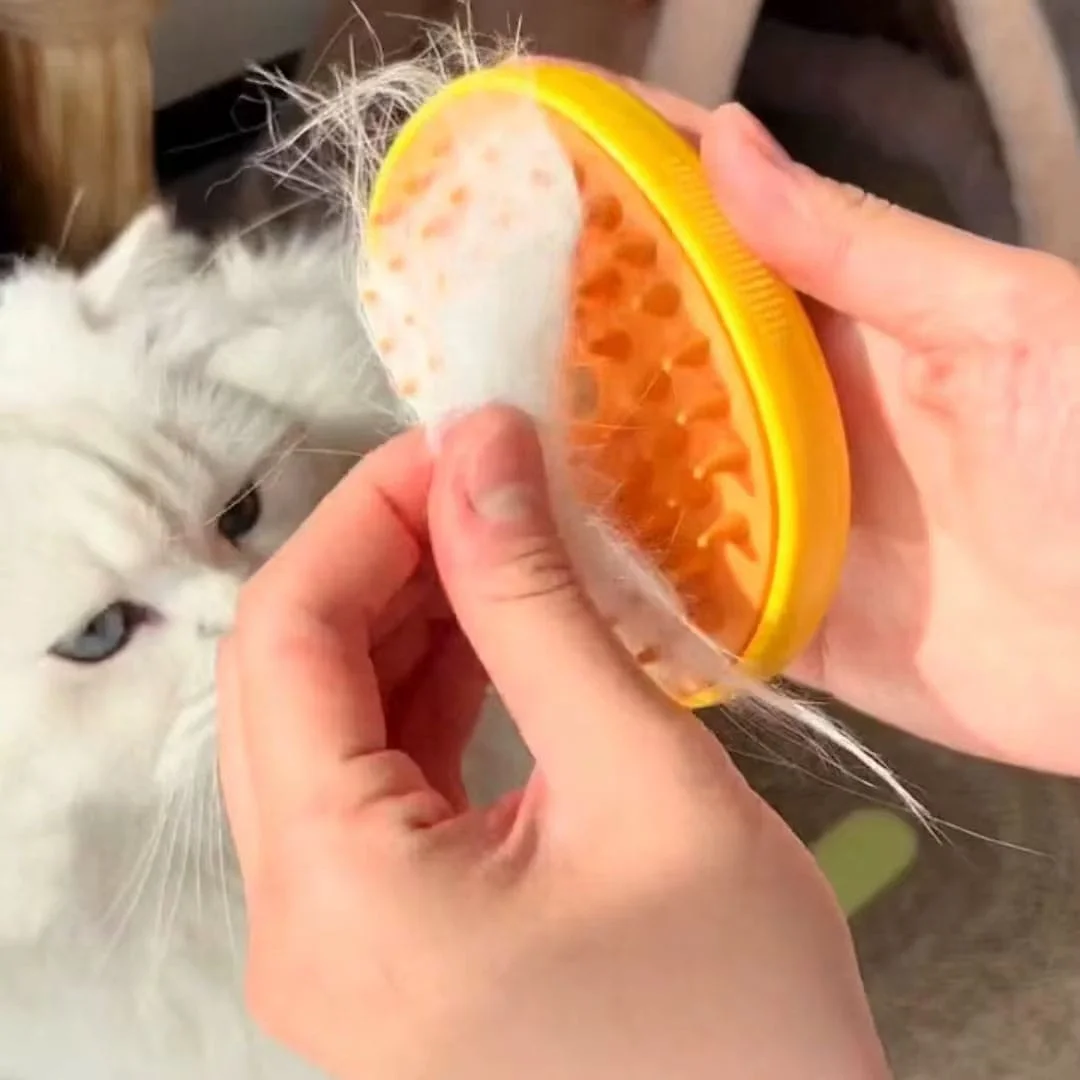 Pet Spray Massage Steam Brush