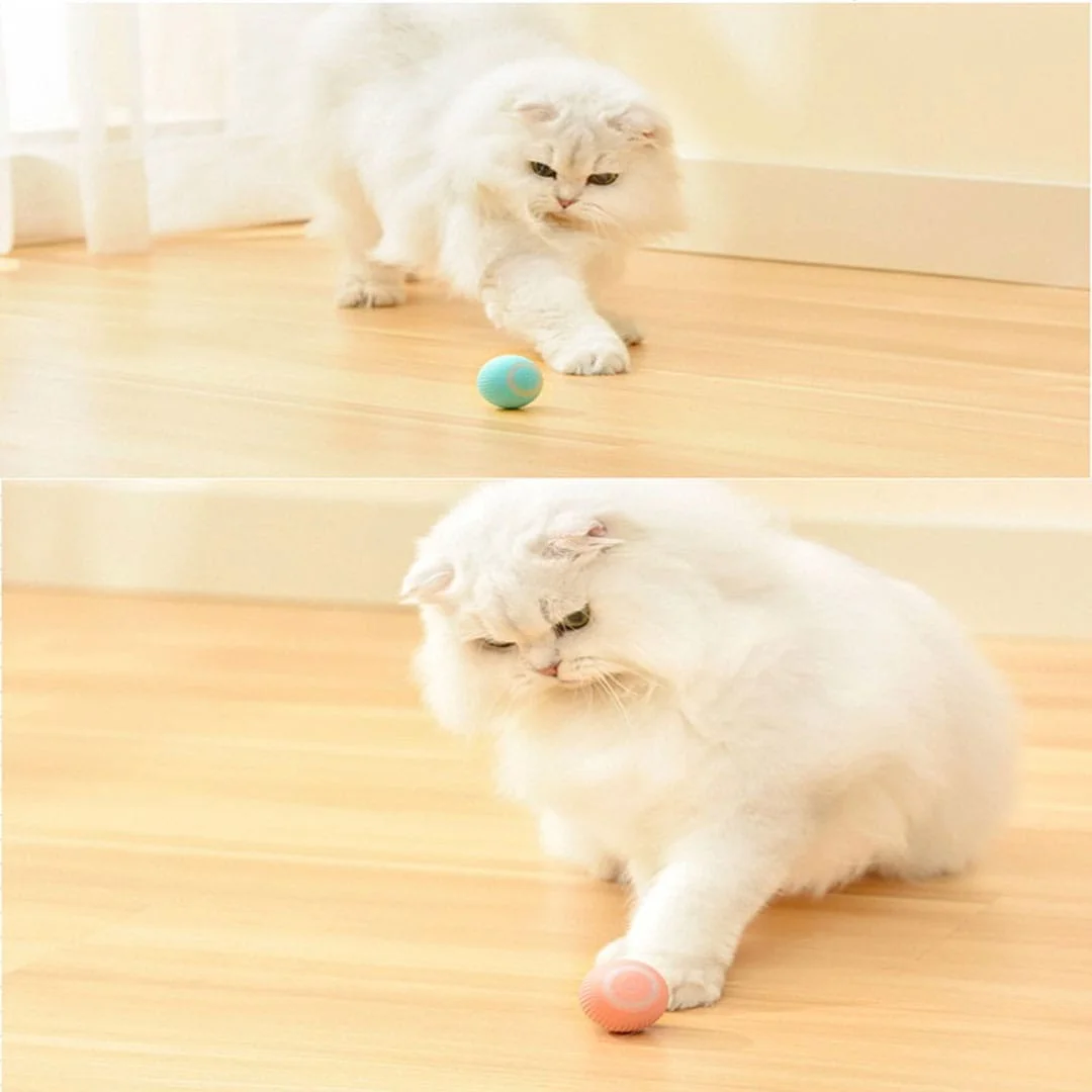 Smart Cat Ball