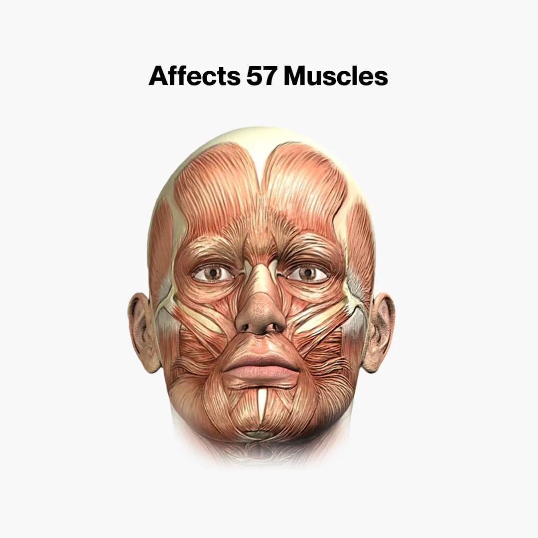 Jaw Trainer